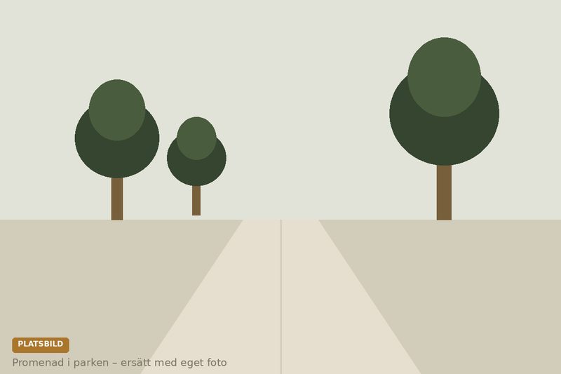 En person tar en lugn promenad i en stadspark på morgonen